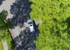 Car driving in green trees