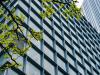 Office building